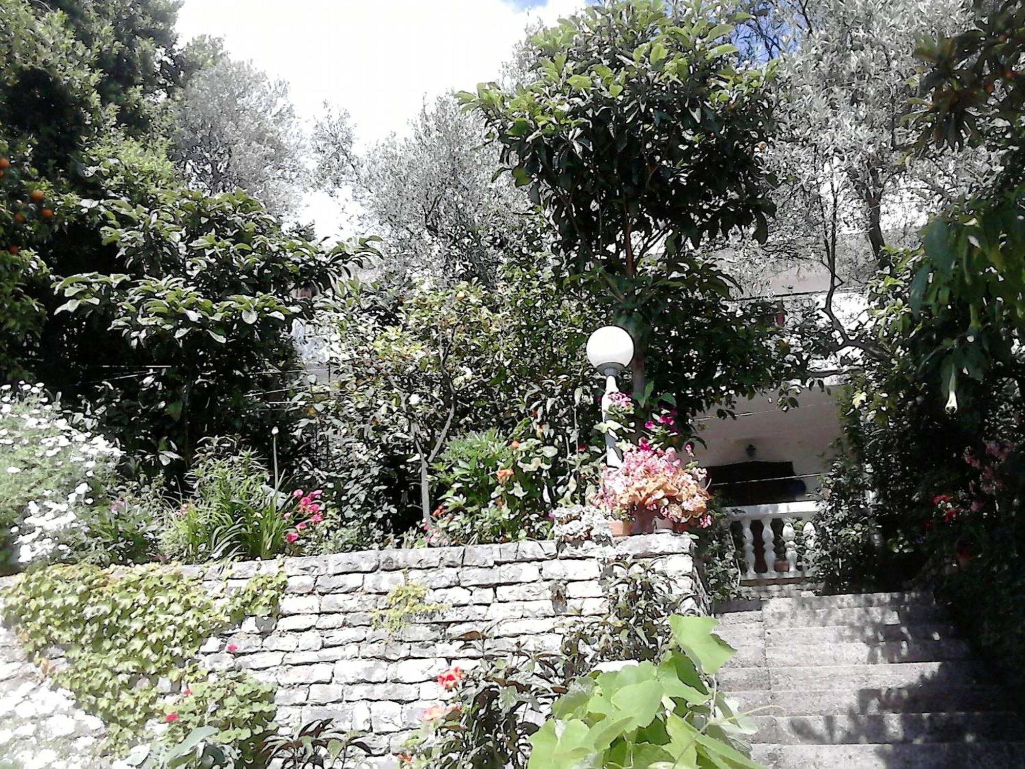Oaza Guest House Sveti Stefan Exteriör bild