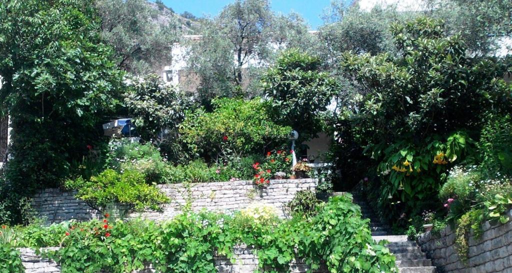 Oaza Guest House Sveti Stefan Exteriör bild