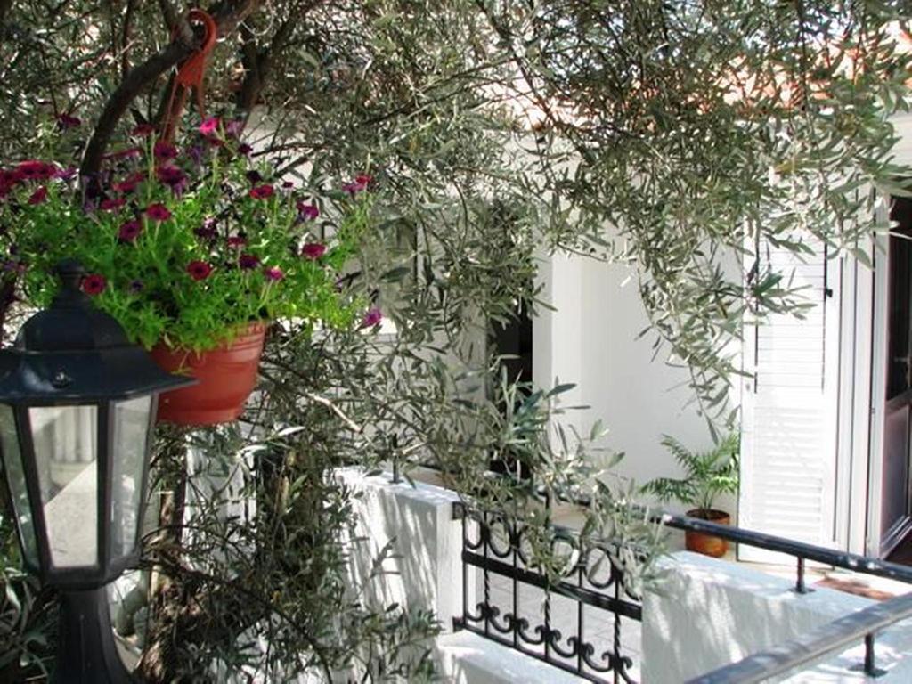 Oaza Guest House Sveti Stefan Exteriör bild